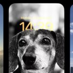iOS 16