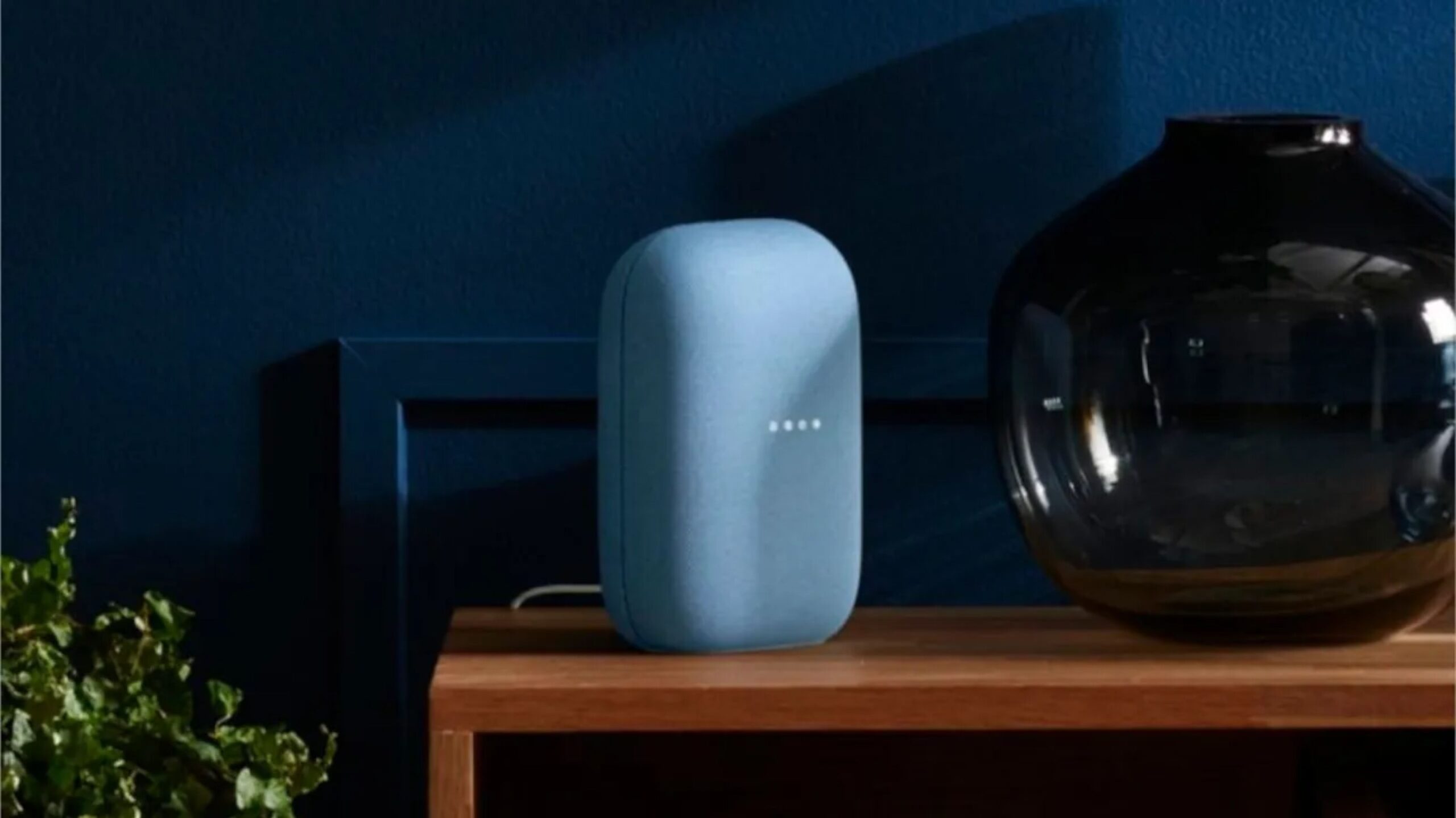 Google Nest