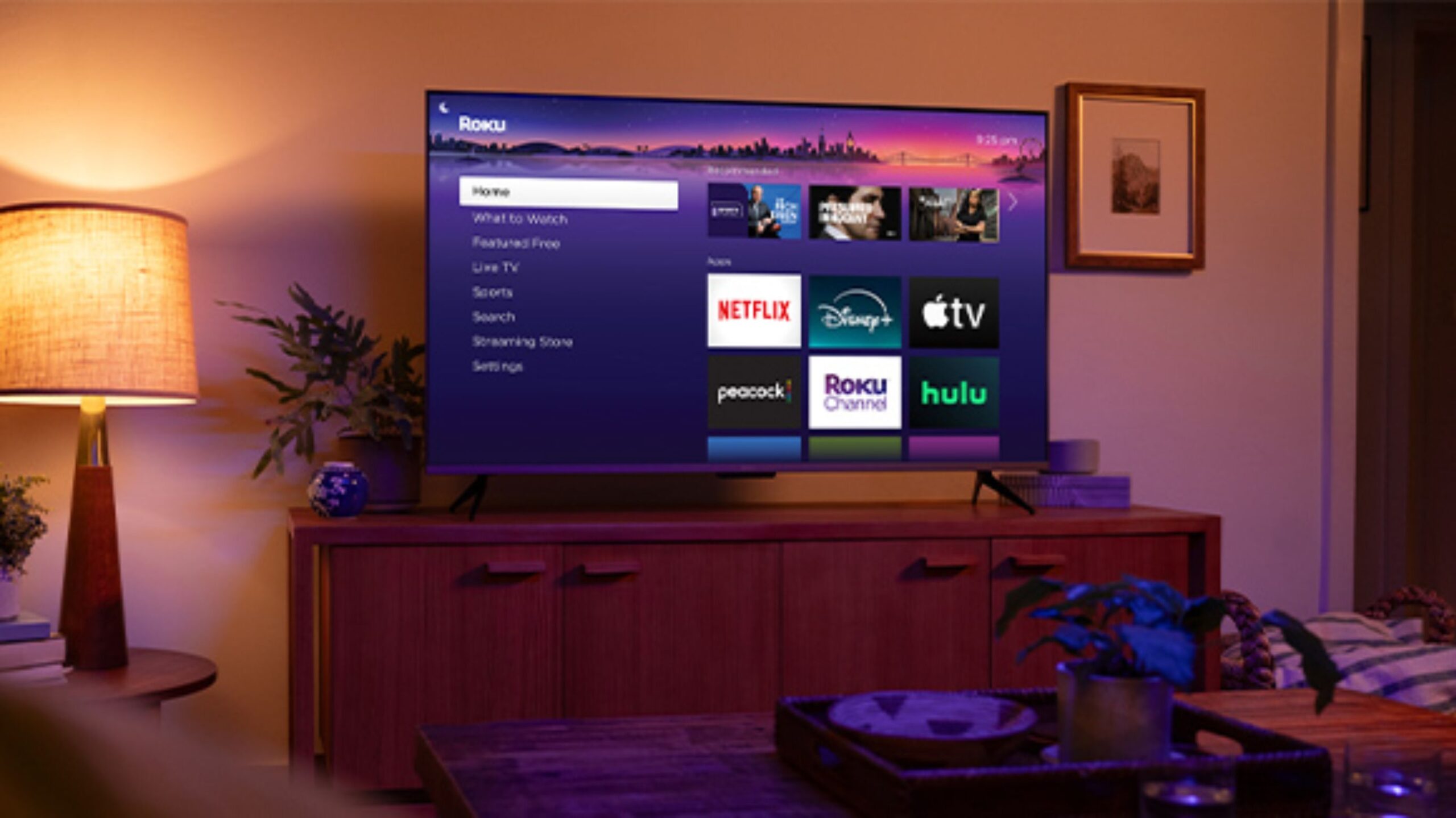 Hot Sale 2025 Roku