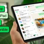 WhatsApp para iPad