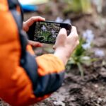 aplicación AllTrails