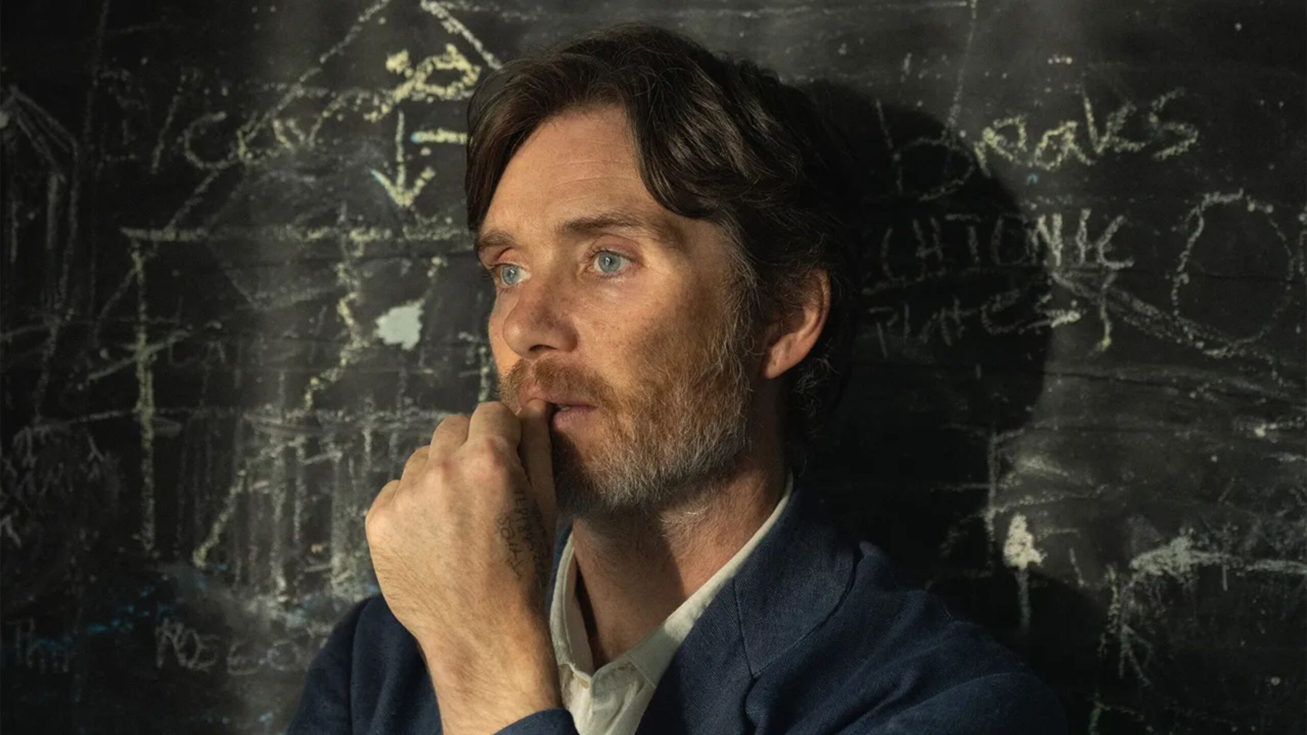 Cillian Murphy | Steve