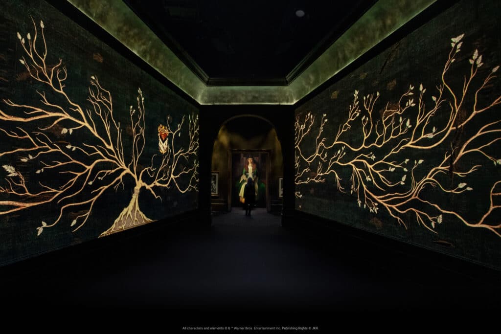 Harry Potter: Visions of Magic