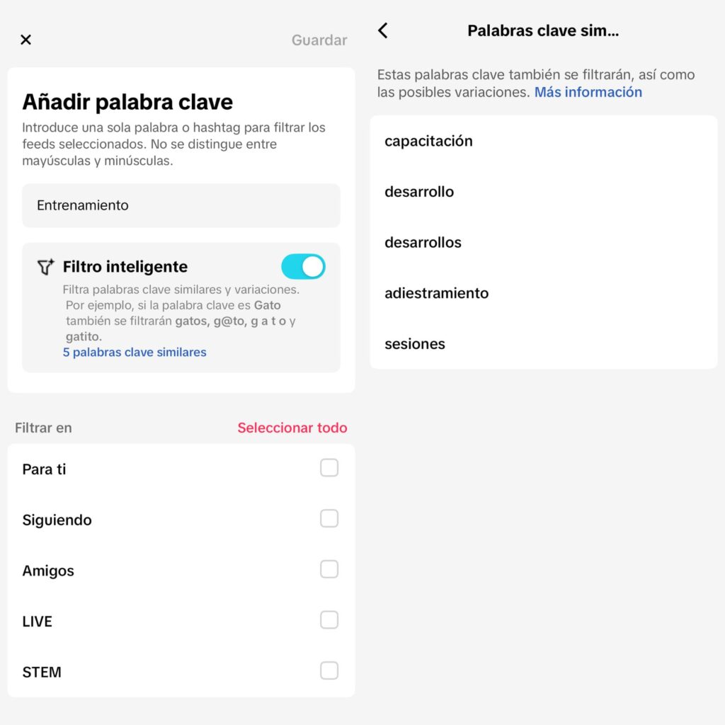 TikTok "Para Ti"