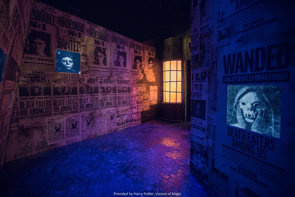 Harry Potter: Visions of Magic