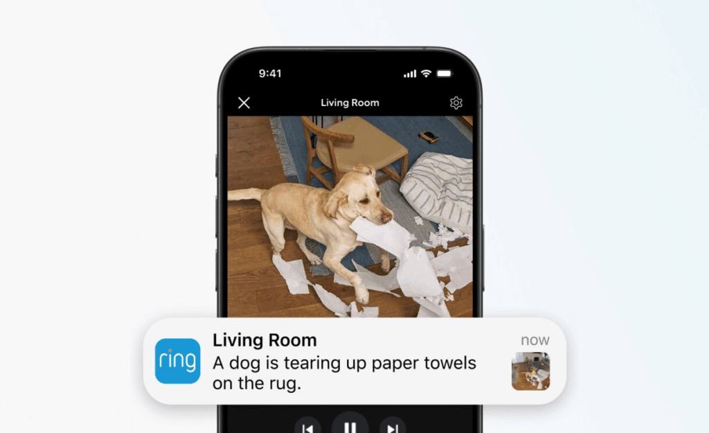 Ring Video Descriptions