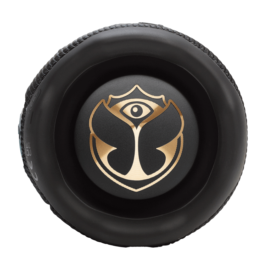 JBL Flip 7 Tomorrowland