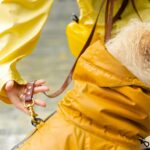 cuidar a tu perro en temporada de lluvias