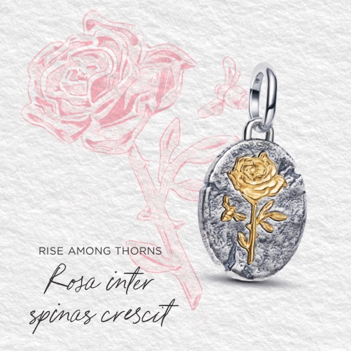 Pandora Talisman