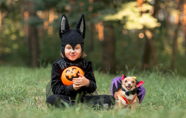 Halloween con perros