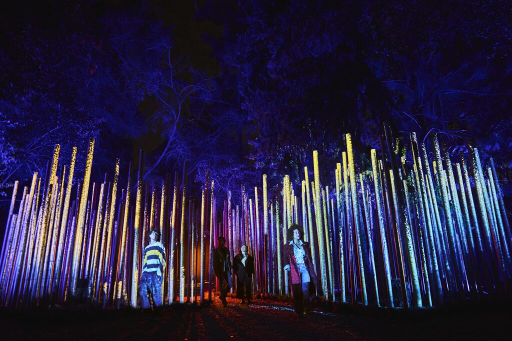 Light Cycles | Bosque de Chapultepec