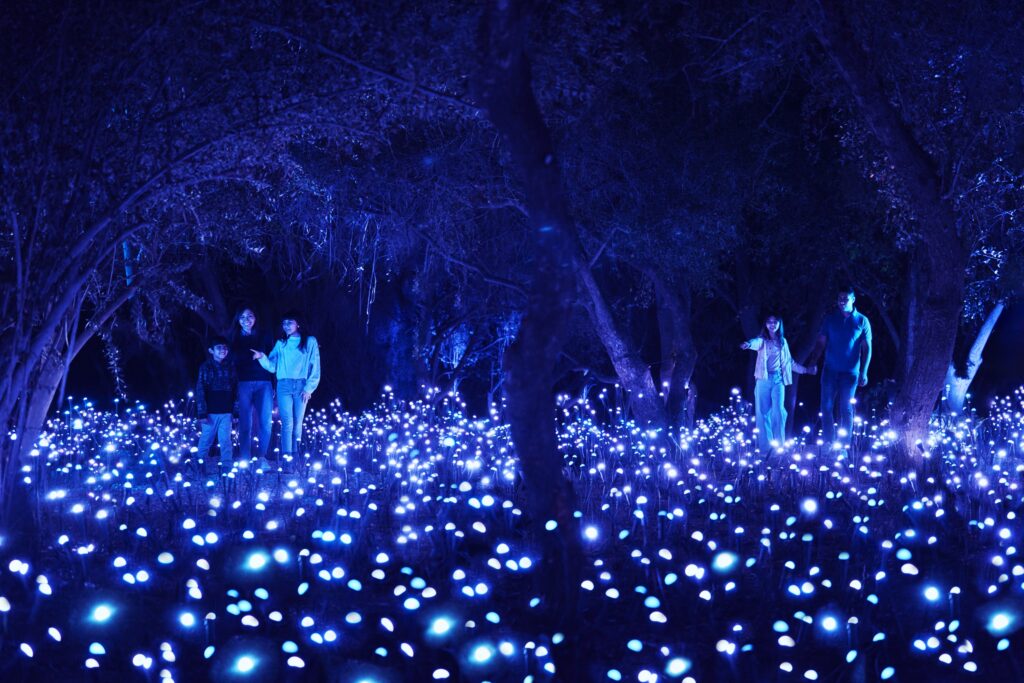 Light Cycles | Bosque de Chapultepec