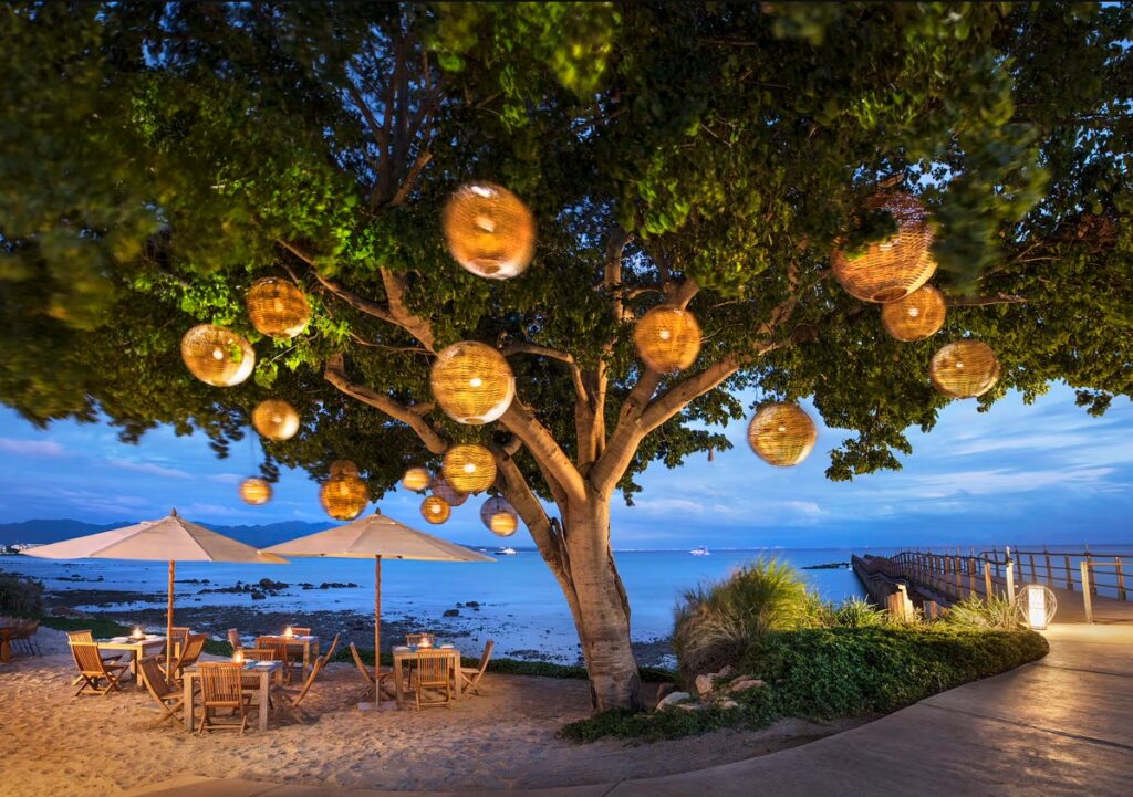 Punta Mita fin de año