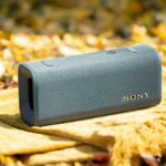 Día de Muertos bocinas Sony