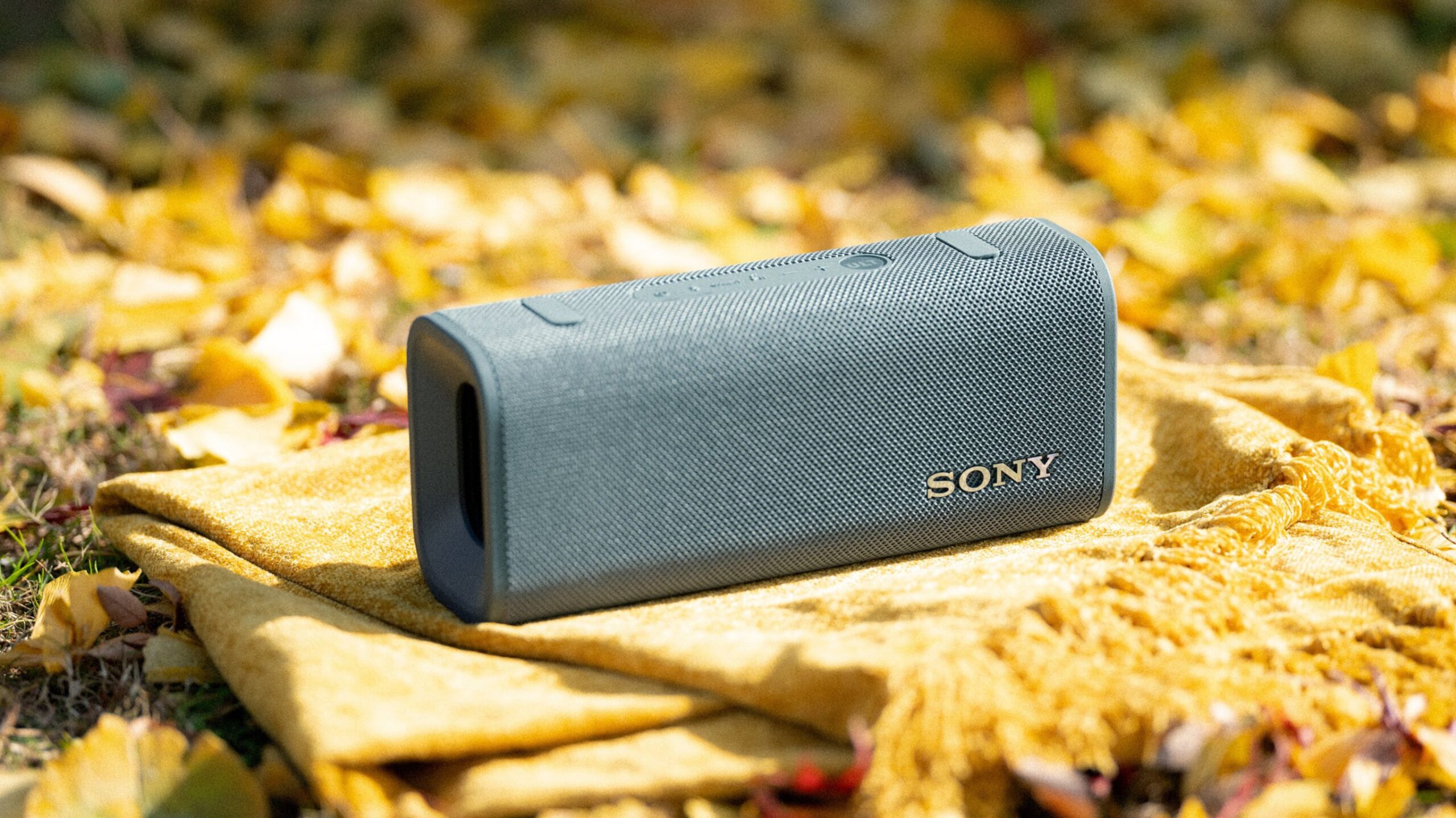 Día de Muertos bocinas Sony