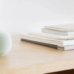 Gemini for Home
