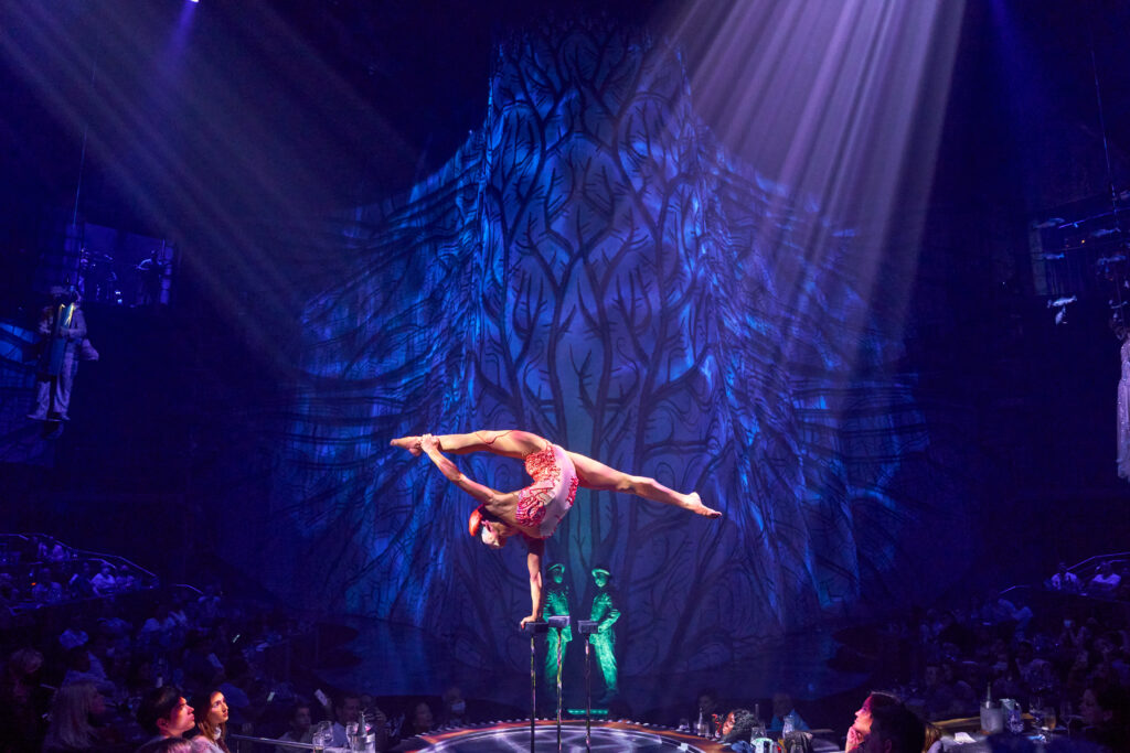 Cirque du Soleil JOYÀ