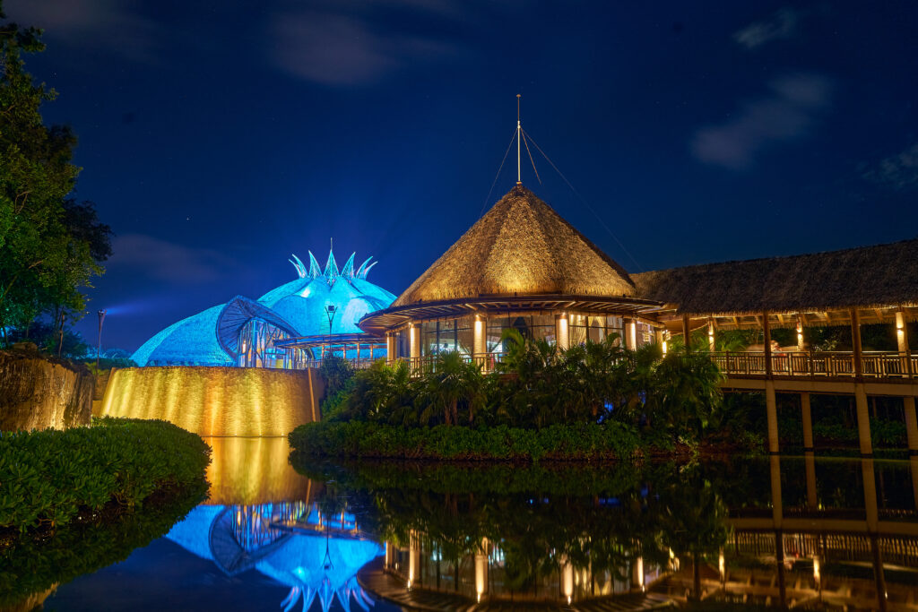 Cirque du Soleil JOYÀ