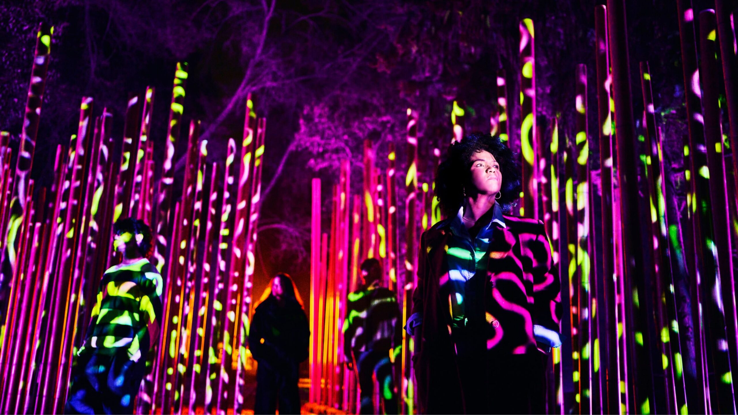 Light Cycles | Bosque de Chapultepec