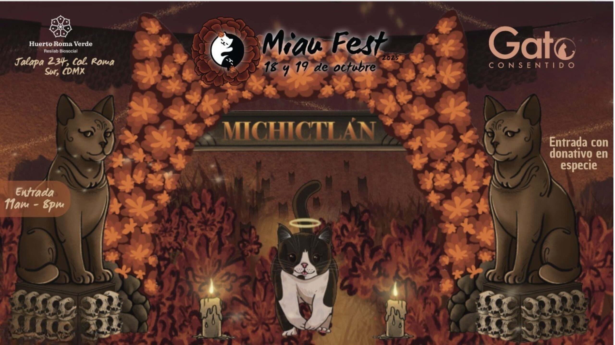 Miau Fest 2025