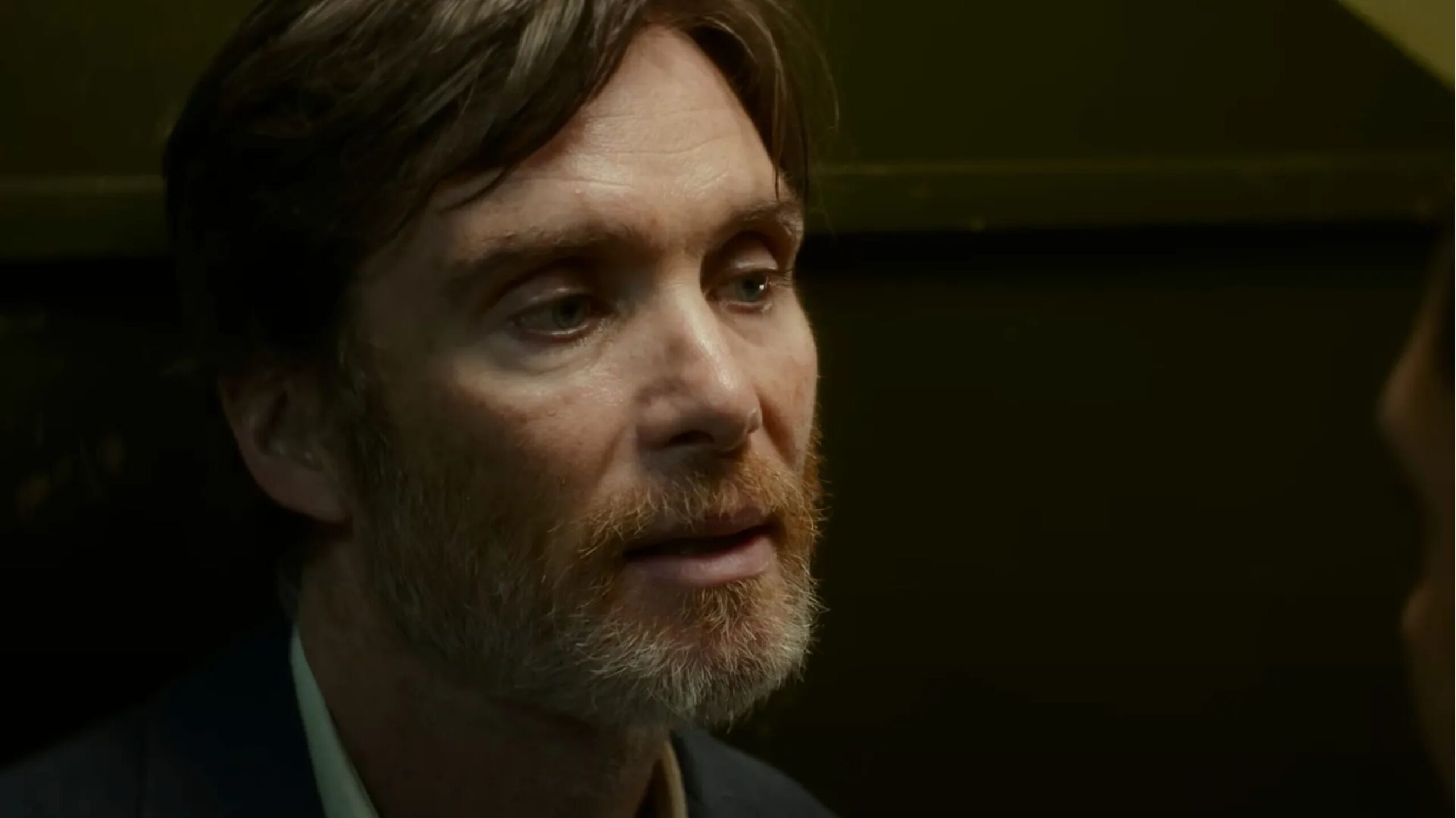 Steve Cillian Murphy Netflix