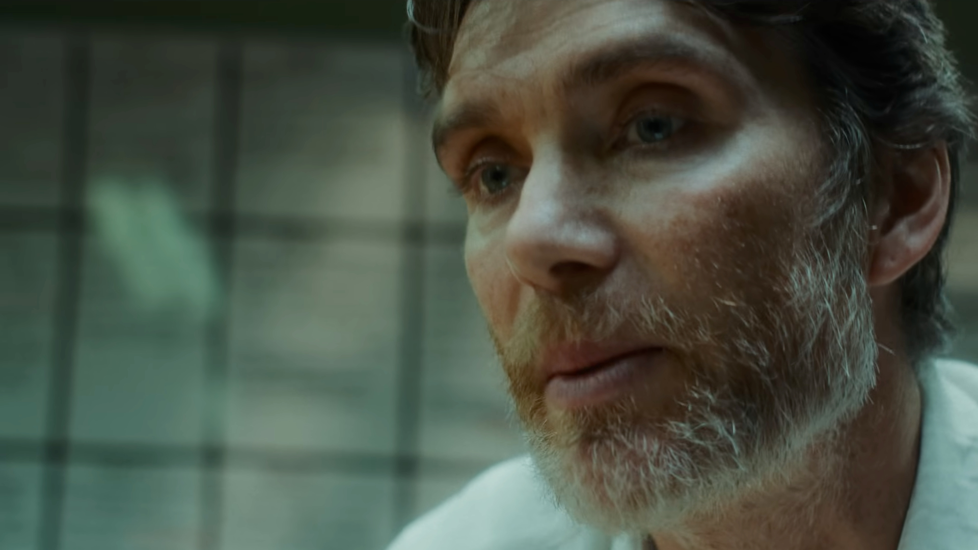Steve Cillian Murphy Netflix