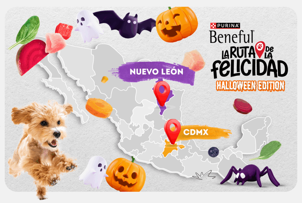Halloween con perros