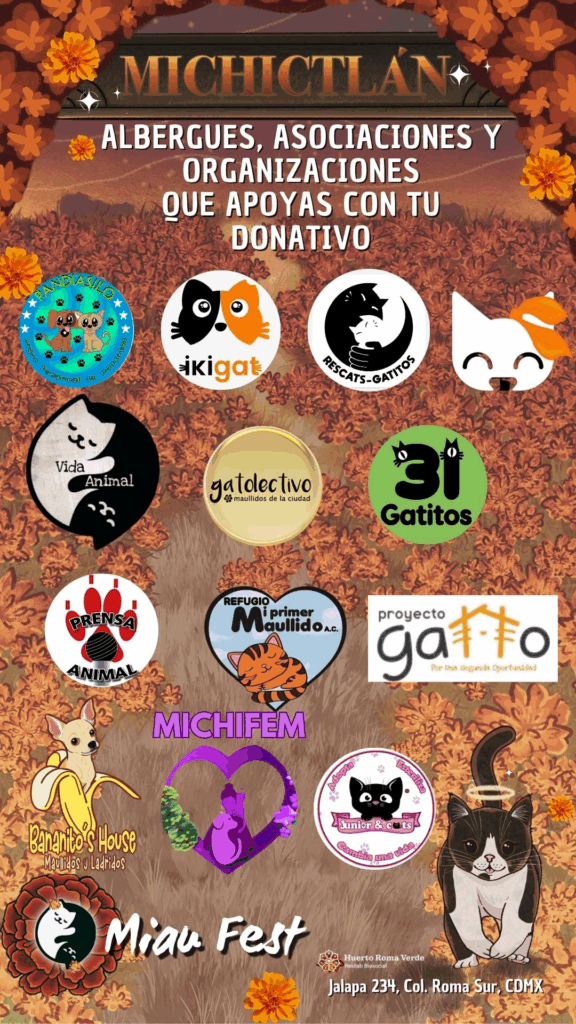 Miau Fest 2025