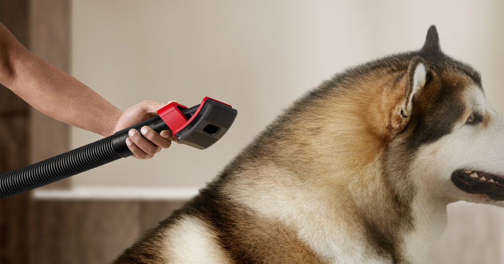 Dyson V16 Piston Animal Submarine y Dyson V16 Piston Animal