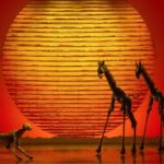 El Rey León Día Internacional de las Personas con Discapacidad