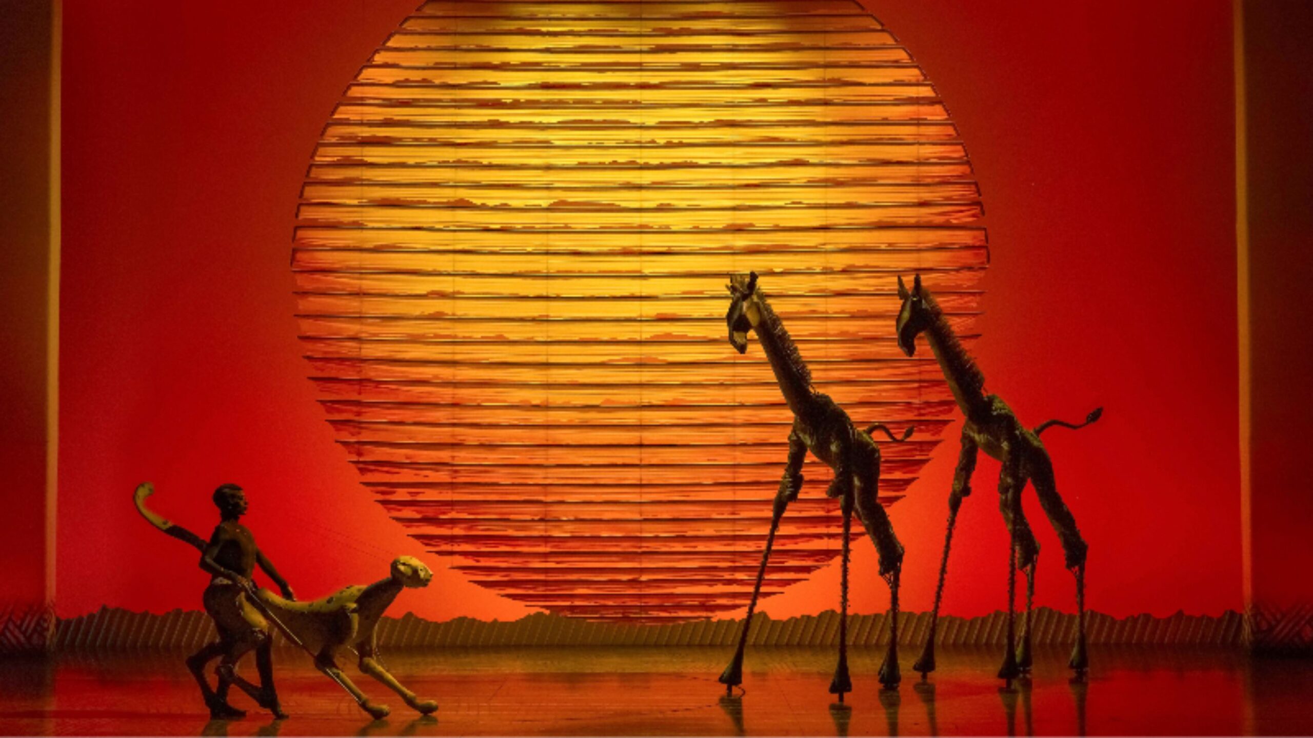 El Rey León Día Internacional de las Personas con Discapacidad