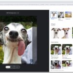 búsqueda inversa de imágenes