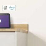 dispositivos Dyson a Amazon Alexa