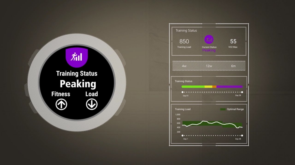 pausar estado de entrenamiento Garmin