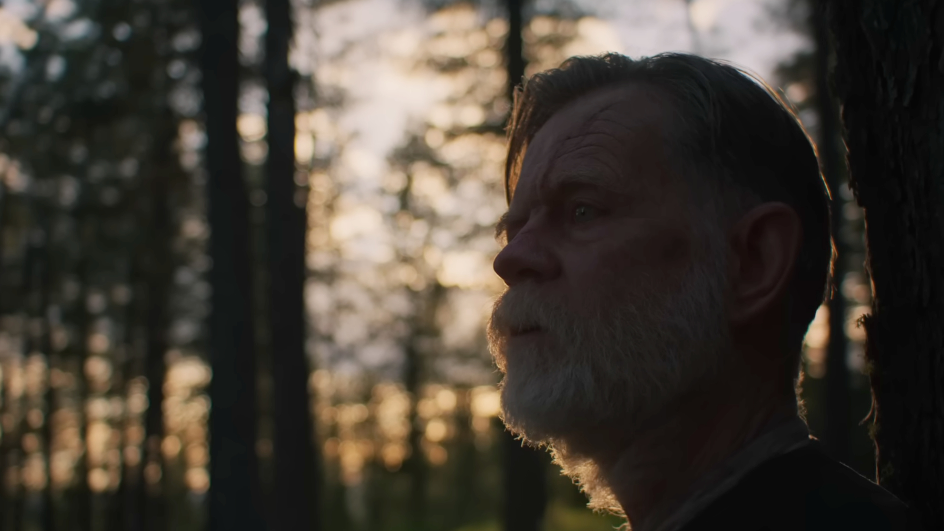Sueños de trenes | Netflix
