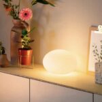 Philips Hue l&aacute;mpara de mesa Flourish