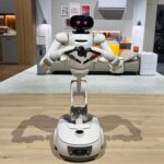 robots dom&eacute;sticos