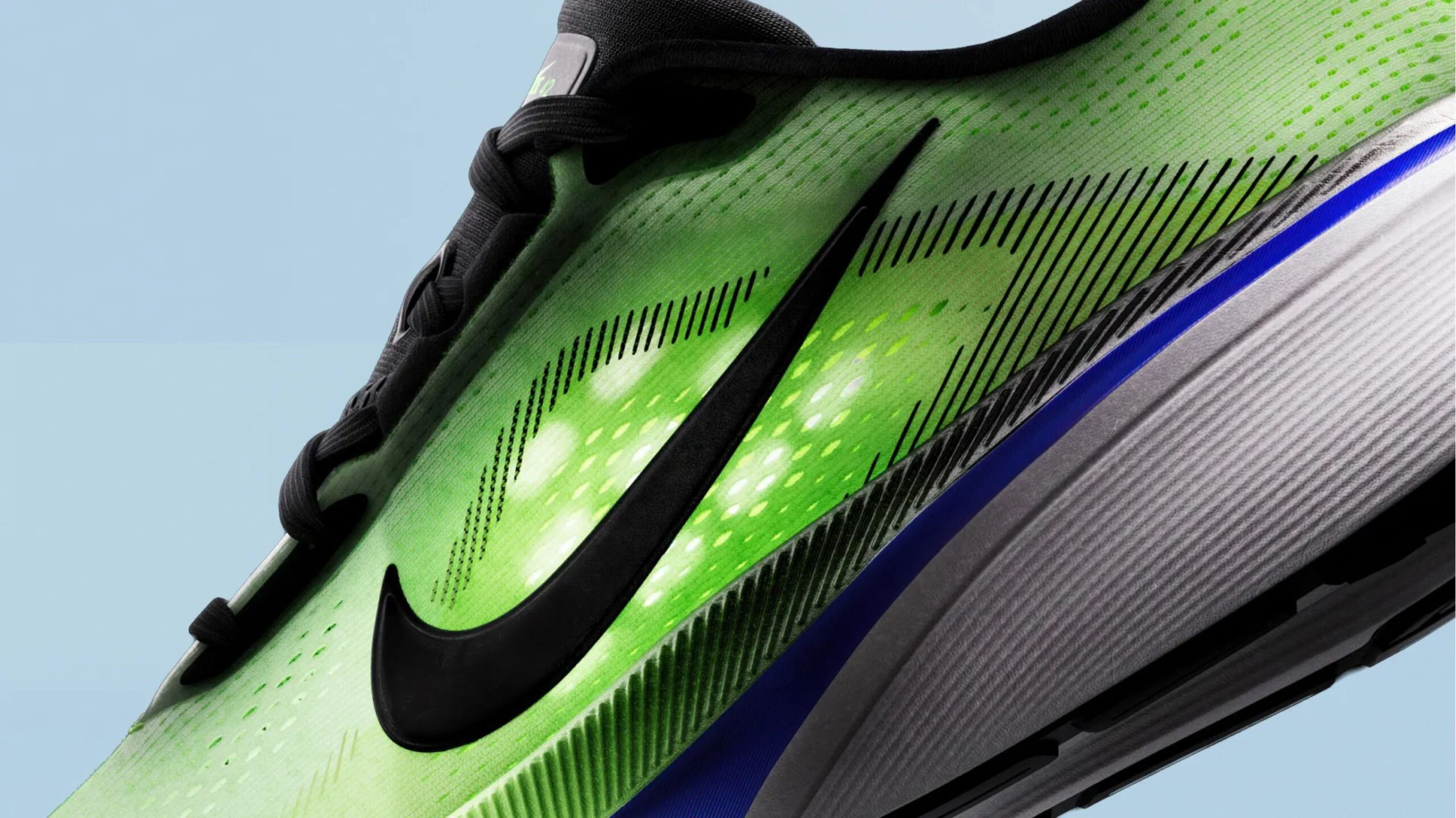 Nike Pegasus
