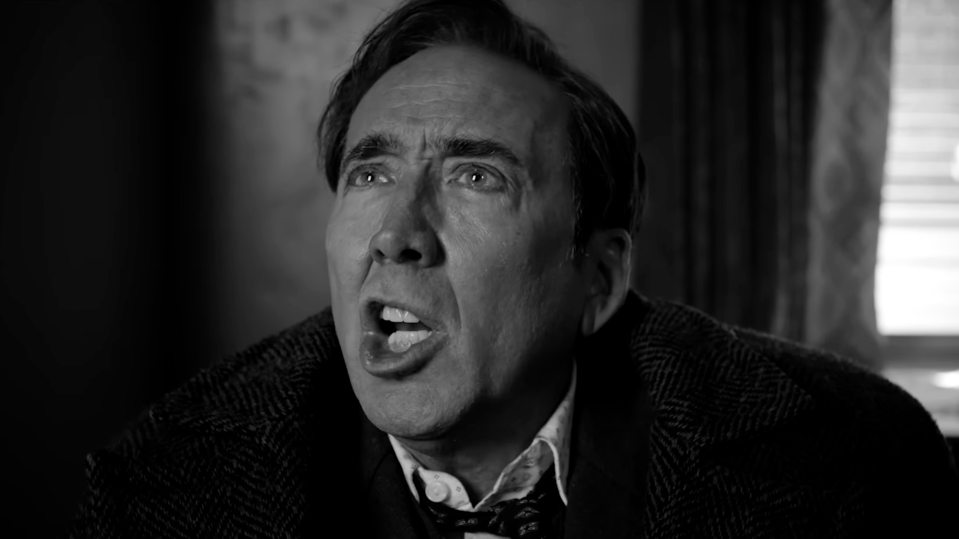 Prime Video serie de Spider-Noir