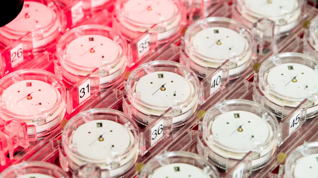 relojes de lujo estándar COSC