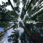 GoPro pr&oacute;xima generaci&oacute;n NAB 2026