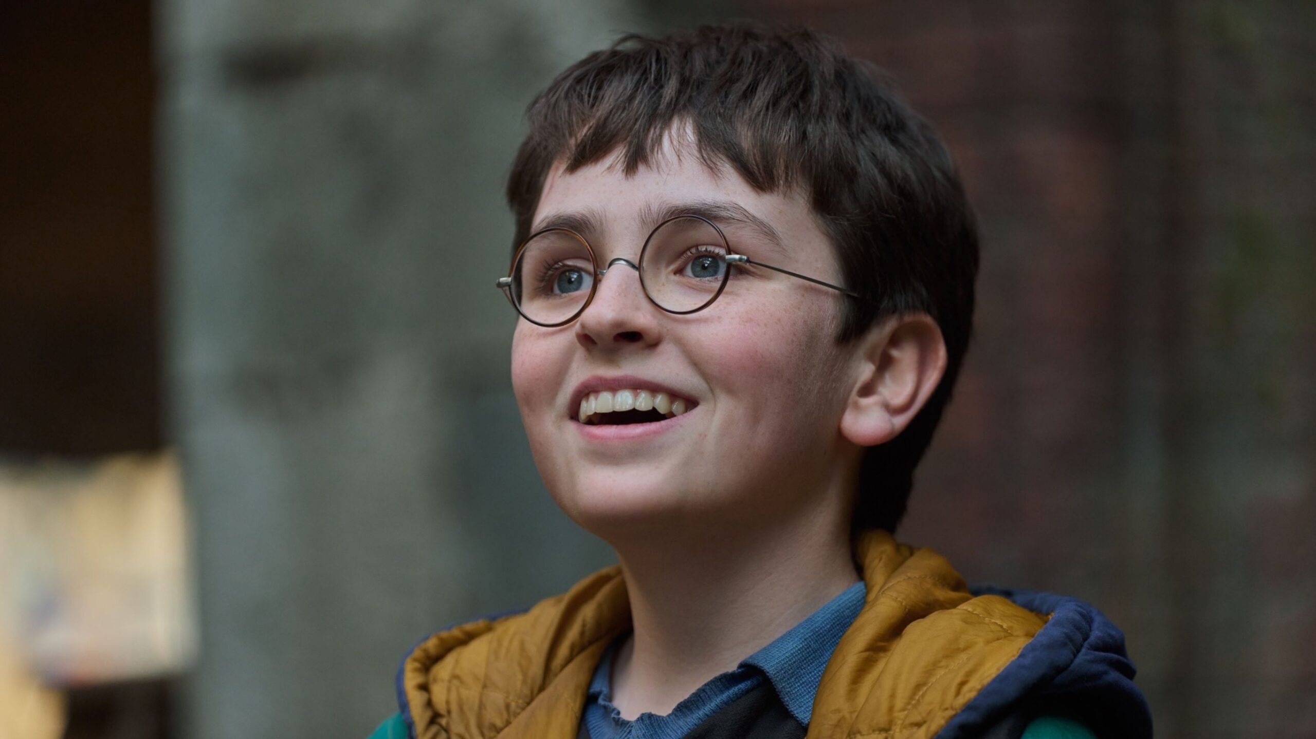 Harry Potter serie de HBO