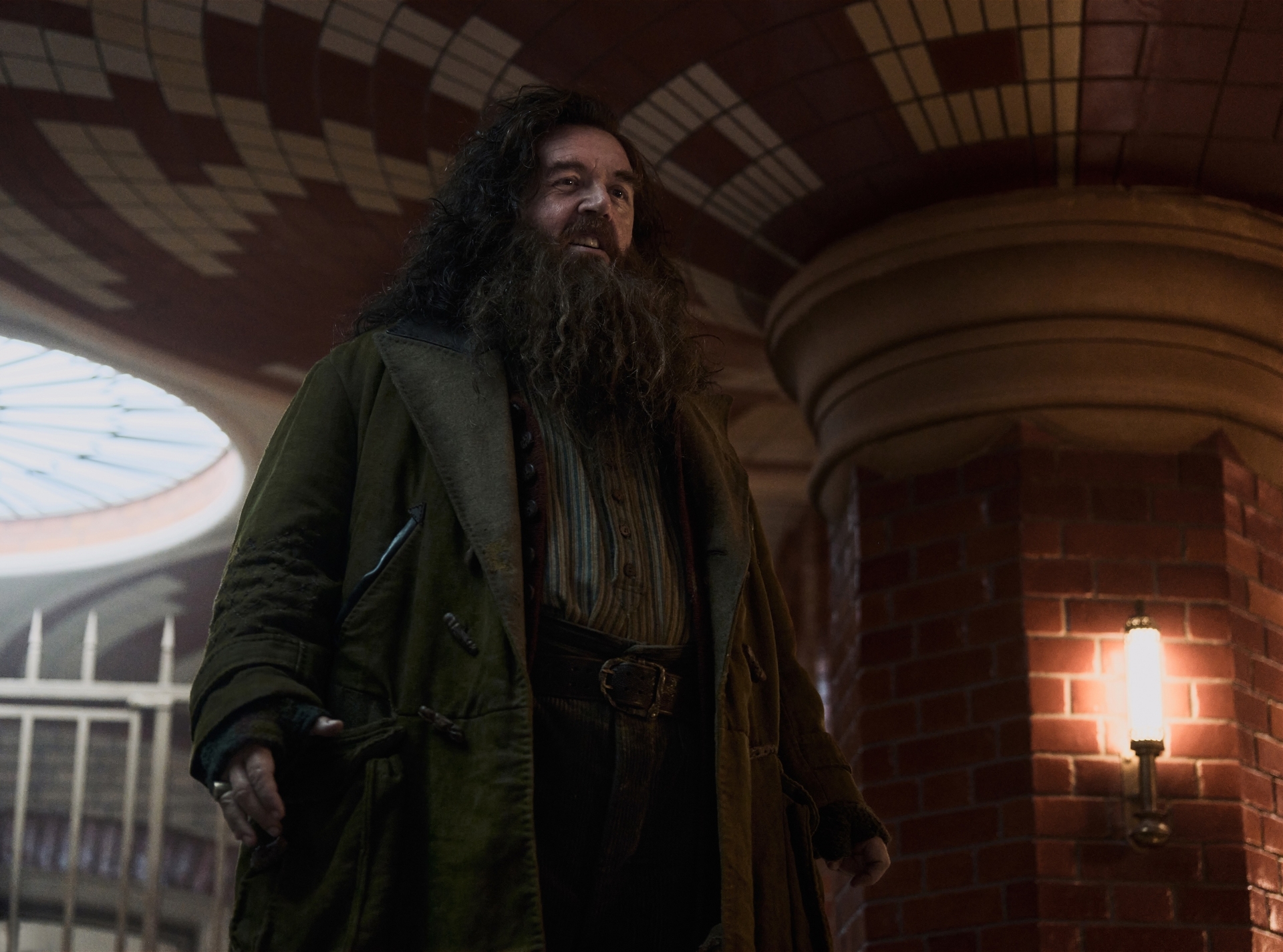 Harry Potter serie de HBO