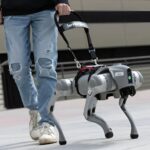 Perros robot con IA | perro gu&iacute;a robot