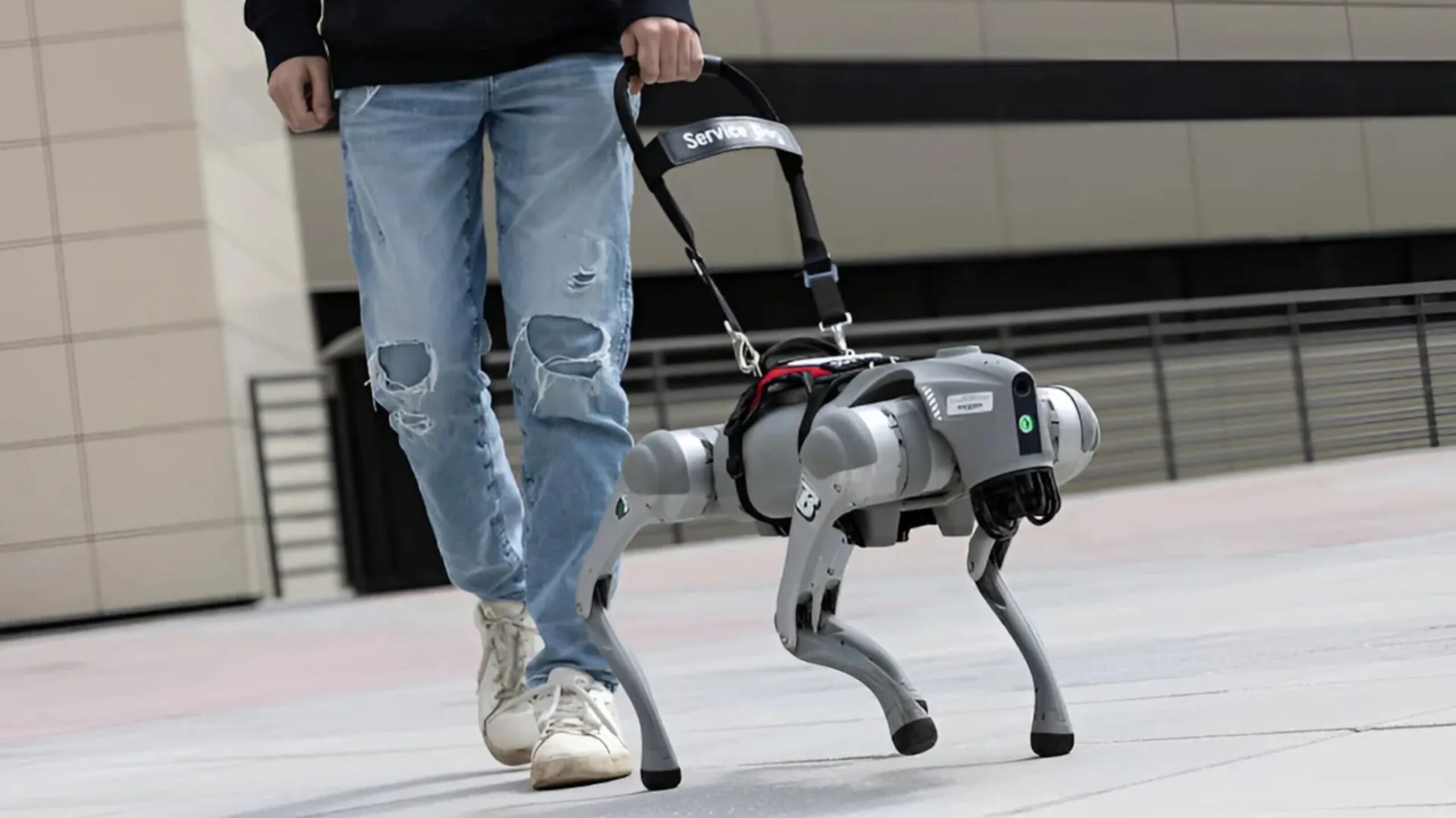 Perros robot con IA | perro guía robot
