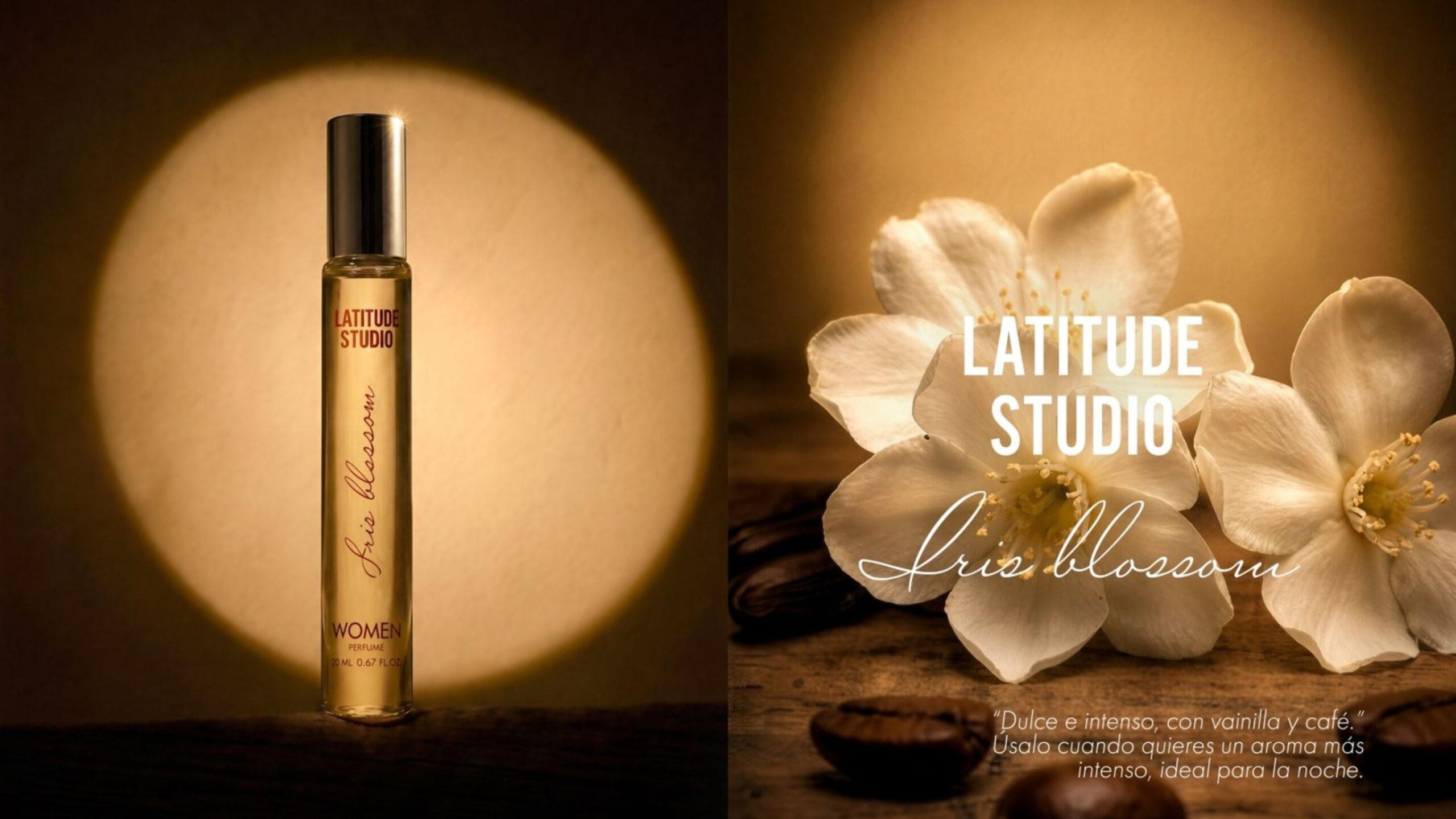 C&A Latitude Studio