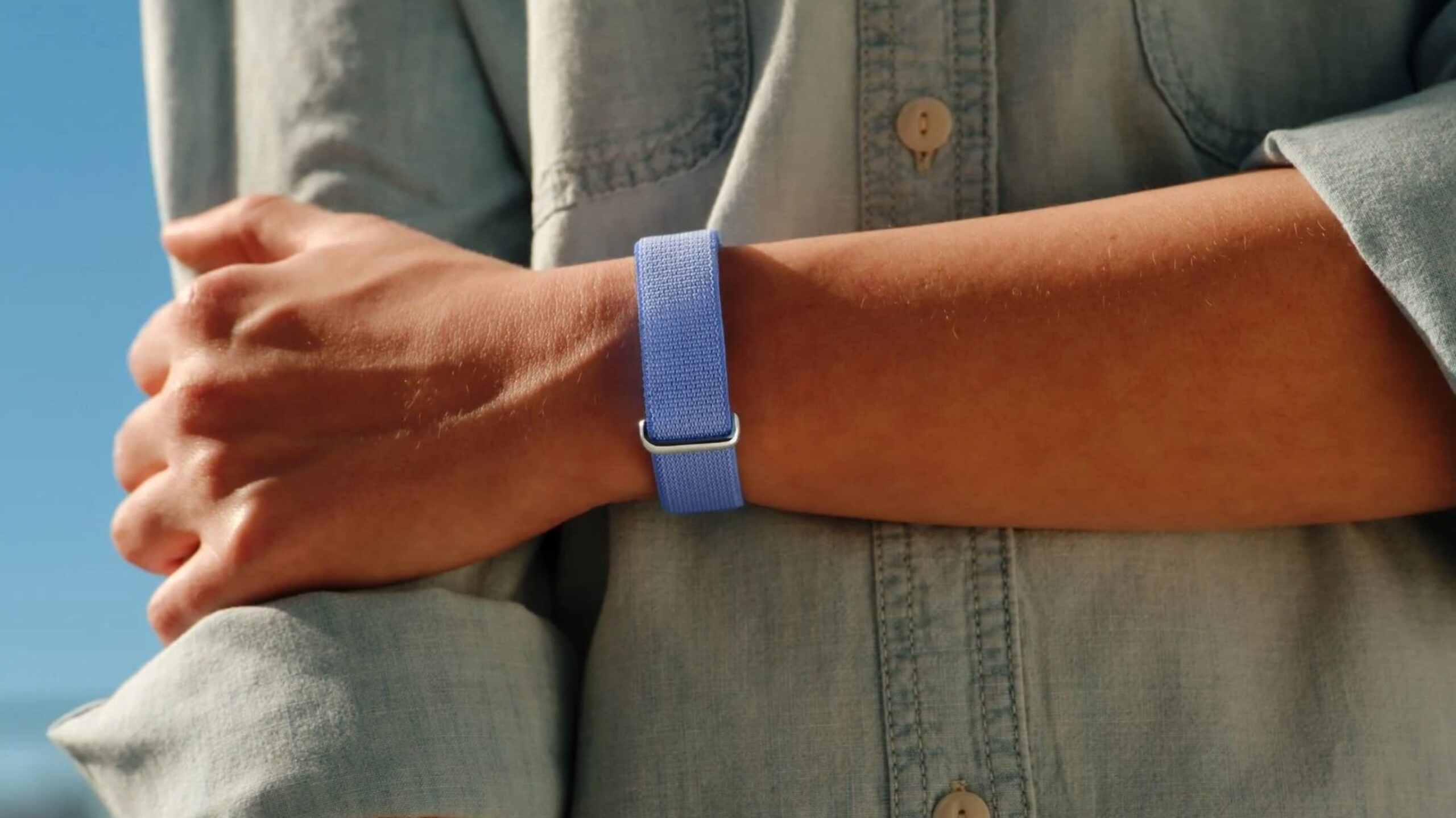 Google Fitbit Air