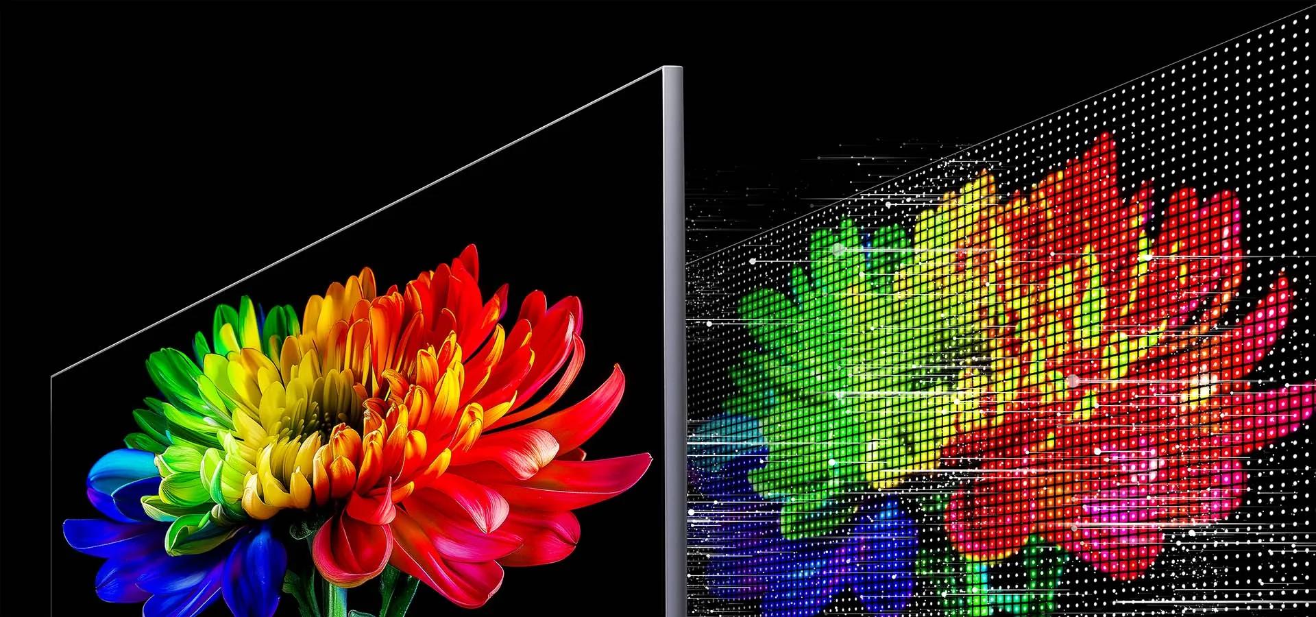 LG Micro RGB evo | LG Mini RGB evo