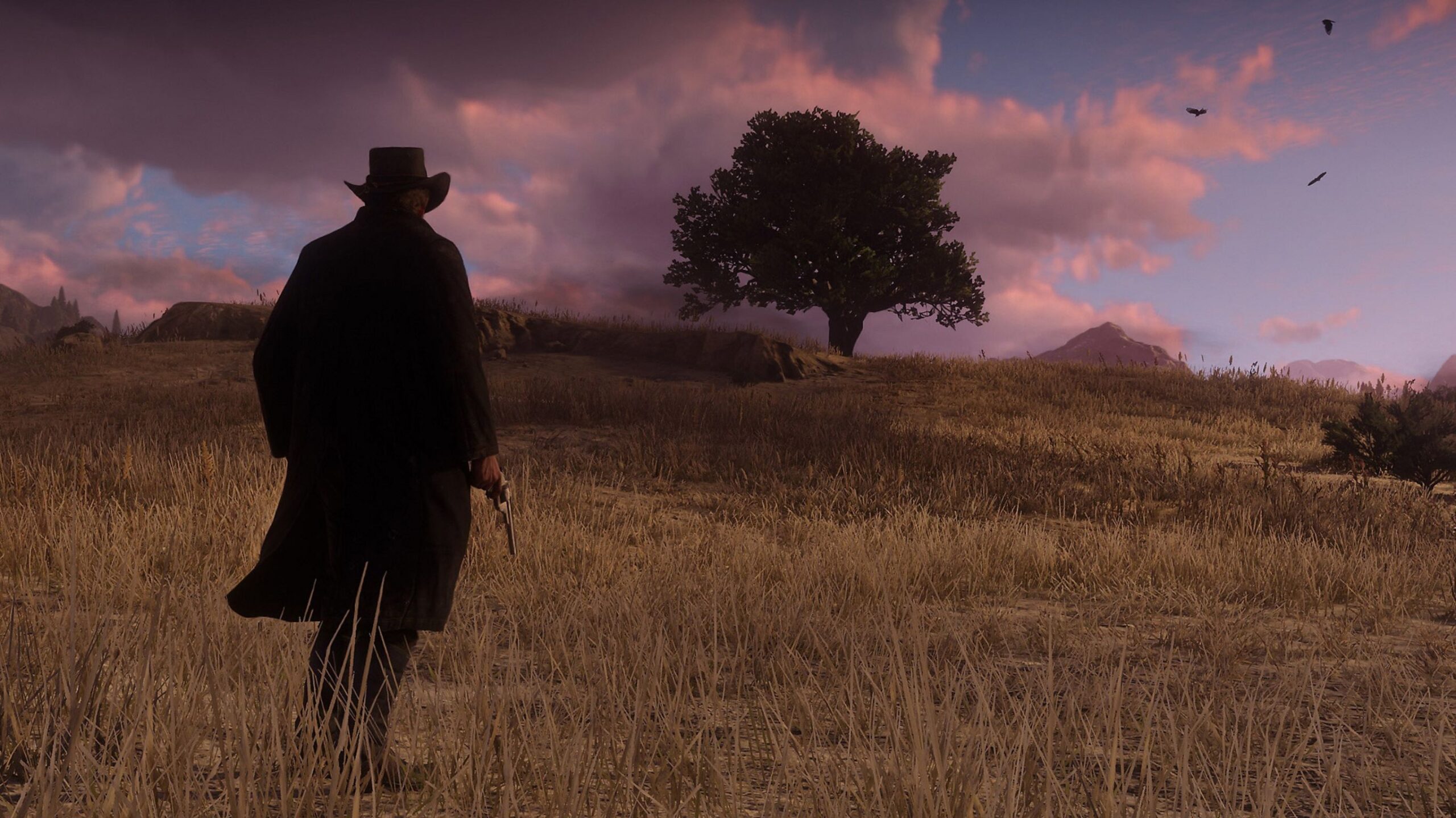 PS Plus Red Dead Redemption 2