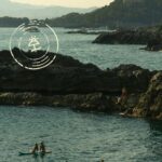 Skyscanner verano 2026